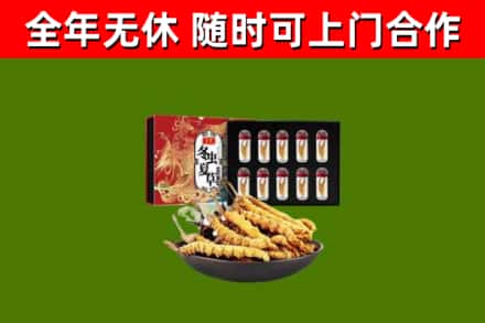 滨海烟酒回收冬虫夏草礼盒.jpg