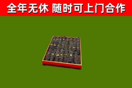 滨海回收海参